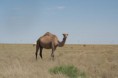 /album/asie-fotogalerie/aktual5-9-jpg/